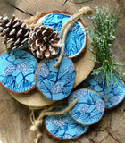 Winter Pinecones