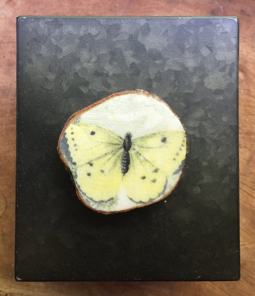 Sunny Butterfly